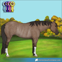 Horse Color:Liver Red Dun Rabicano 
