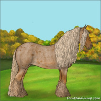 Horse Color:Chocolate Palomino Roan 