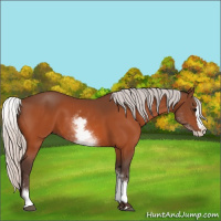 Horse Color:White Spotted Silver Bay Splash 