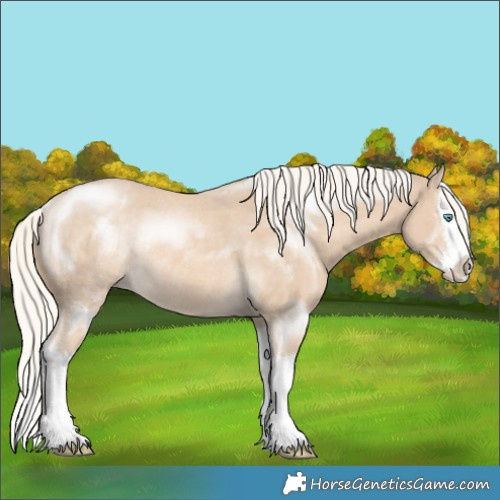 Horse Color:Cremello Splash Rabicano 