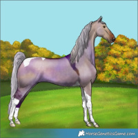 Horse Color:Silver Brown Dun Tobiano 