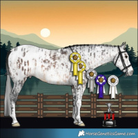 Horse Color:Brown Sabino Appaloosa  and Gray Buckskin Sabino Tobiano 