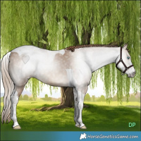 Horse Color:Gray Smoky Creme Tobiano