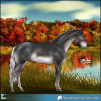 Horse Color:Platinum Liver Chestnut Mushroom Rabicano