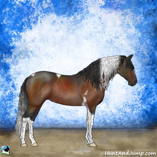 Horse Color:Brown Tobiano Rabicano 