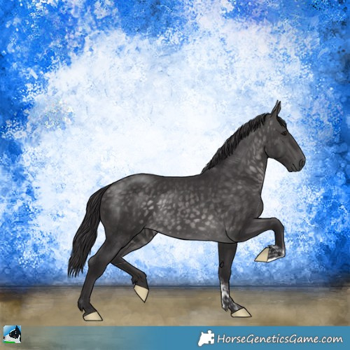 Horse Color:Platinum Buckskin Tobiano Rabicano