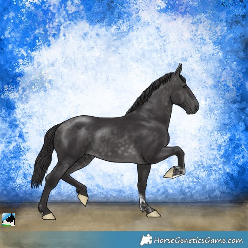 Horse Color:Platinum Buckskin Tobiano Rabicano 