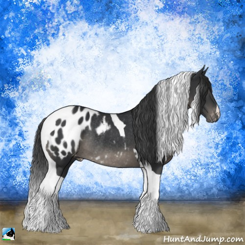Horse Color:Platinum Black Tobiano Appaloosa Rabicano 