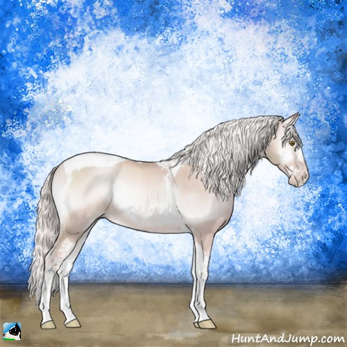 Horse Color:Platinum Silver Sable Cream Champagne Onyx Splash Tobiano Rabicano 