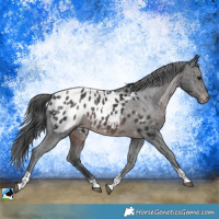 Horse Color:Platinum Brown Tobiano Blanket Rabicano 