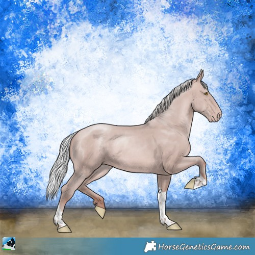 Horse Color:Platinum Silver Sable Champagne Tobiano Rabicano 
