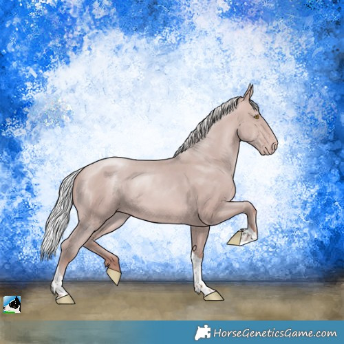 Horse Color:Platinum Silver Sable Champagne Tobiano Rabicano 