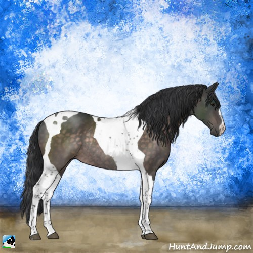 Horse Color:Platinum Brown Tobiano Rabicano 