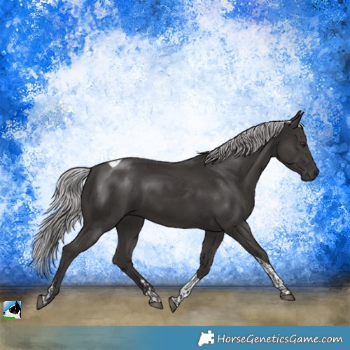 Horse Color:Platinum Liver Chestnut Tobiano Rabicano 