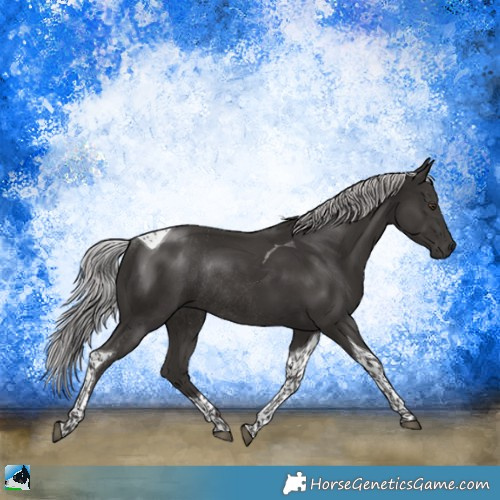 Horse Color:Platinum Liver Chestnut Tobiano Rabicano