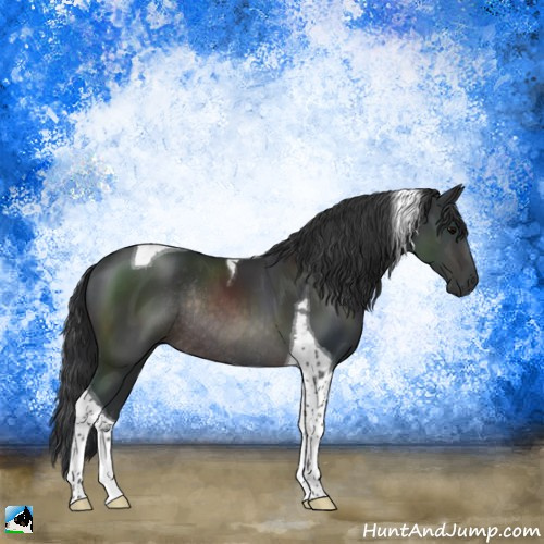 Horse Color:Platinum Brown Tobiano Rabicano