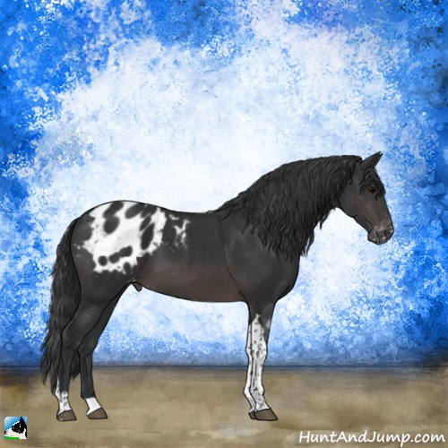 Horse Color:Platinum Brown Tobiano Appaloosa Rabicano 