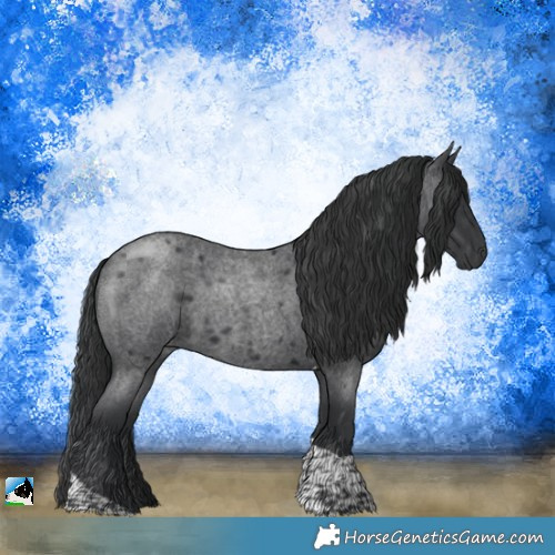 Horse Color:Platinum Blue Roan Tobiano 