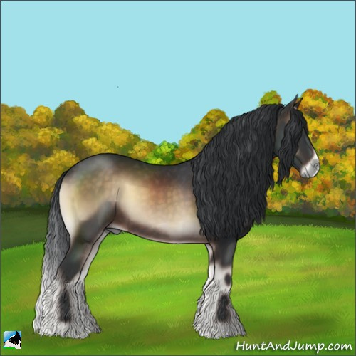 Horse Color:Brown Onyx 