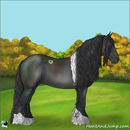 Horse Color:Black Tobiano 