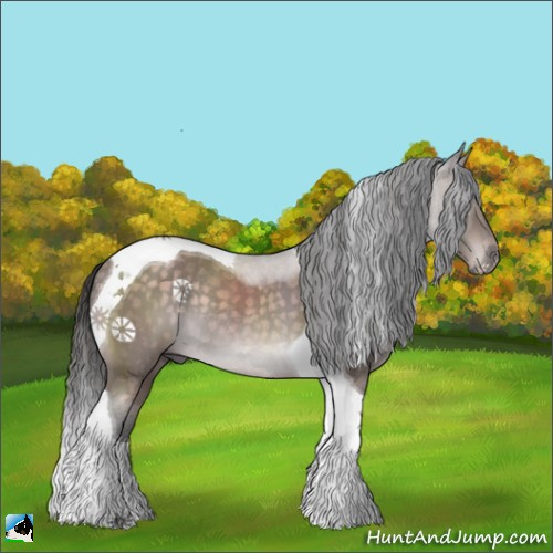 Horse Color:Platinum Buckskin Tobiano Rabicano 