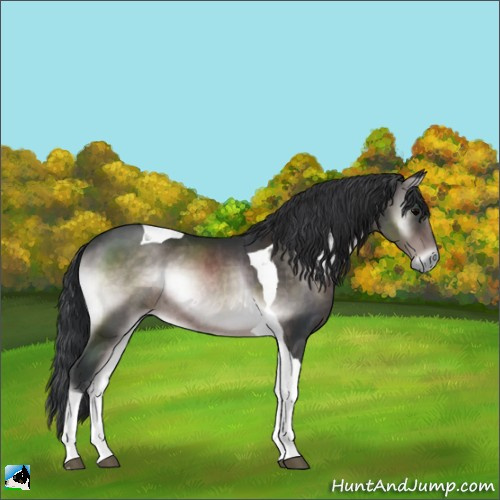 Horse Color:Platinum Brown Onyx Tobiano Rabicano 