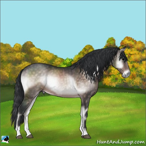 Horse Color:Platinum Brown Onyx Rabicano 