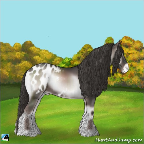 Horse Color:Platinum Liver Red Onyx Appaloosa Rabicano 