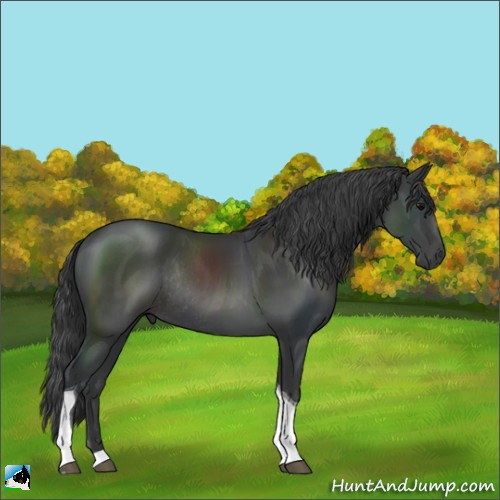 Horse Color:Black Tobiano Rabicano 