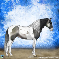 Horse Color:Platinum Brown Onyx Tobiano 
