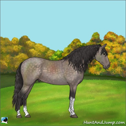 Horse Color:Platinum Buckskin Tobiano Rabicano 