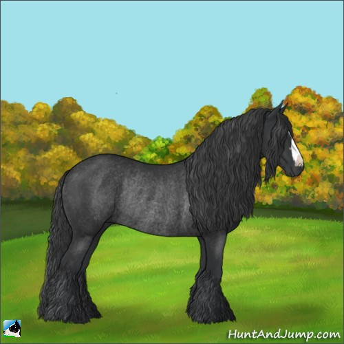 Horse Color:Platinum Black Rabicano 