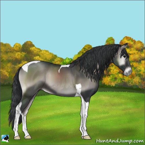 Horse Color:Platinum Blue Onyx Tobiano 