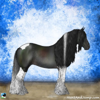 Horse Color:Gray Platinum Brown Sabino Tobiano Rabicano