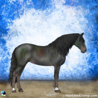 Horse Color:Platinum Liver Chestnut Rabicano 