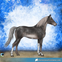Horse Color:Platinum Liver Chestnut Tobiano 