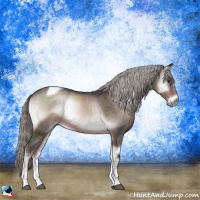 Horse Color:Platinum Liver Red Onyx Tobiano Rabicano