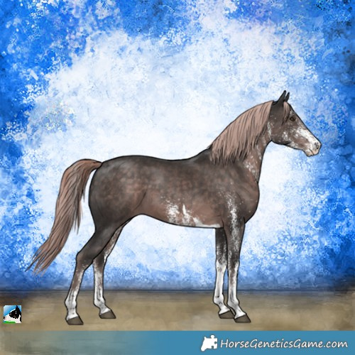 Horse Color:Platinum White Spotted Liver Chestnut Tobiano 