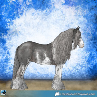 Horse Color:Platinum White Spotted Liver Chestnut Rabicano 