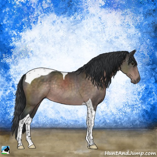 Horse Color:Platinum Brown Tobiano Rabicano 