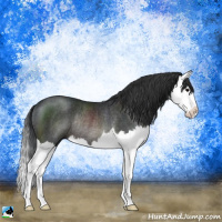 Horse Color:Platinum Brown Splash Rabicano 