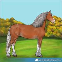 Horse Color:White Spotted Silver Bay Splash
