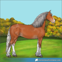 Horse Color:White Spotted Silver Bay Splash