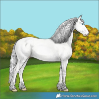 Horse Color:Silver Perlino Dun