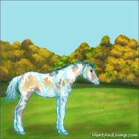 Horse Color:Thunderstruck White Spotted Classic Cream Champagne Onyx 