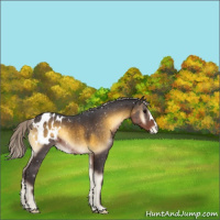 Horse Color:Silver Smoky Blue Onyx Blanket 