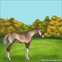 Horse Color:Silver Blue Onyx 