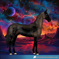 Horse Color:Void Brown Roan Dun Splash Frame Rabicano