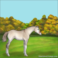 Horse Color:Silver Brown Roan Onyx 