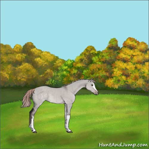 Horse Color:Platinum White Spotted Liver Red Dun Rabicano 